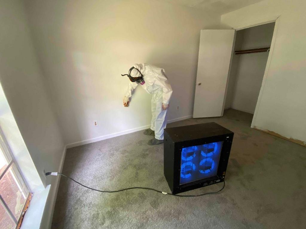 mold-cleaning-for-cars-tampa