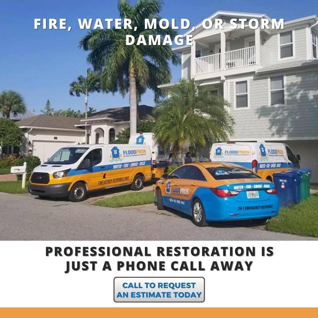 mold-remediation-tampa